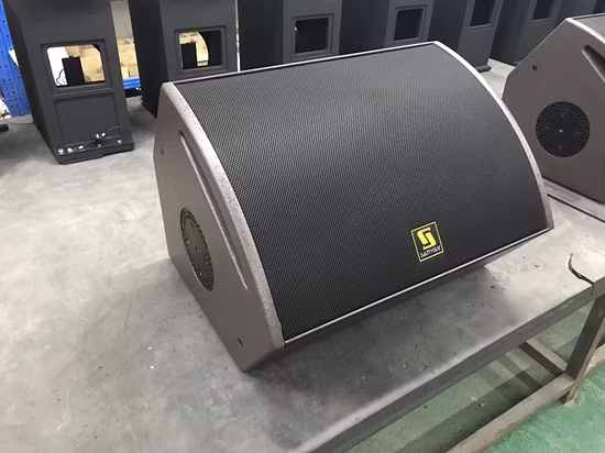 L-12 (12XT) haut-parleur de moniteur de scène professionnel coaxial bidirectionnel simple de 12 pouces, haut-parleur de son actif/passif en direct
