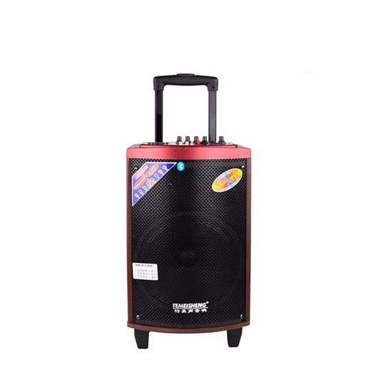 Système de karaoké en bois 150W haut-parleurs de sortie Super haute puissance woofer de 10 pouces avec haut-parleurs de Tweeter grands Bluetooth sans fil