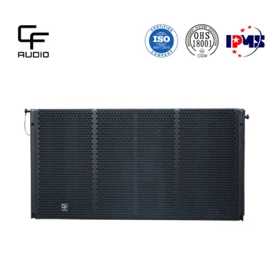 Double caisson de basses professionnel de 18 pouces haute puissance ventilé Sub Bass Line Array pour les bars, les théâtres