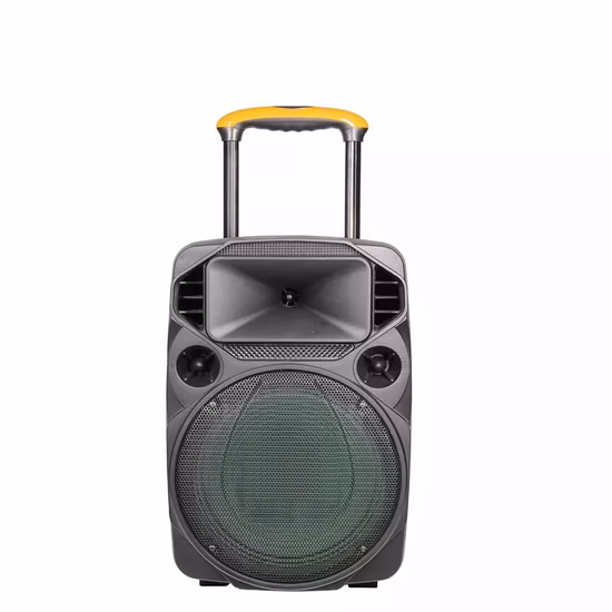 Temeisheng Télécommande Bluetooth Lumière LED Woofer 15 pouces avec USB