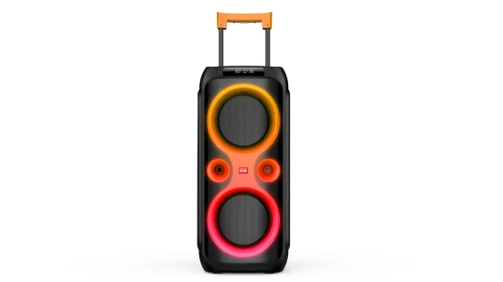 Haut-parleur privé 2022 haute puissance PA Audio double 10 pouces sans fil Bluetooth DJ Disco karaoké haut-parleurs de fête avec amplificateur intégré Caixa De Son De 100W